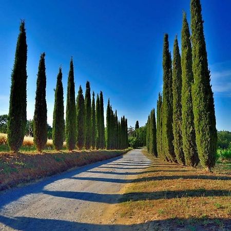 Agriturismo Boschetto Di Montiano Montiano  Exterior foto
