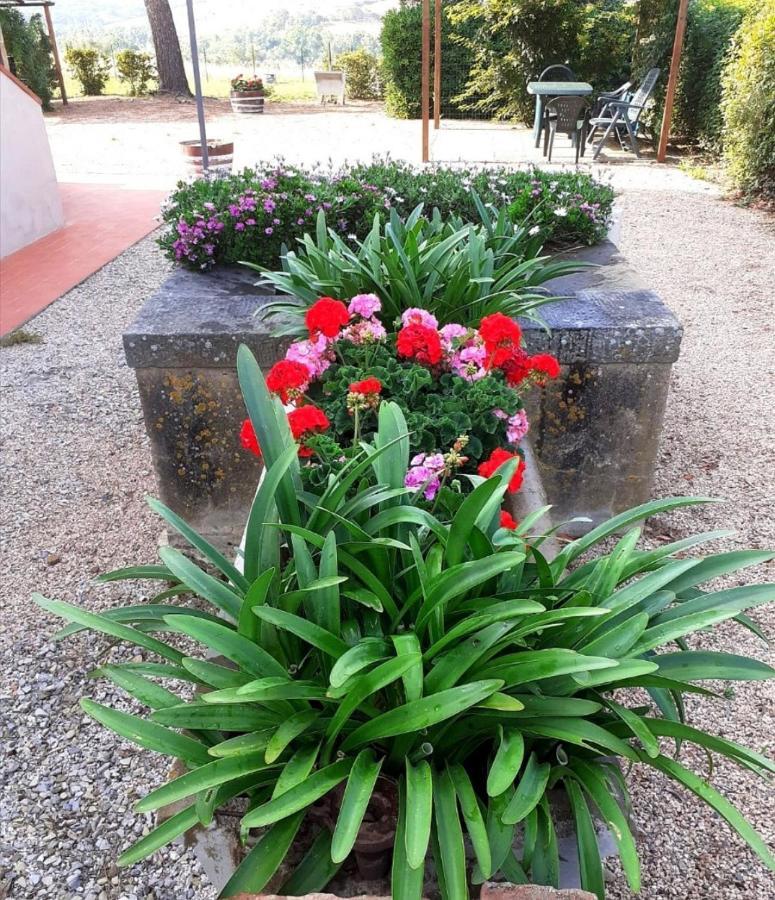 Agriturismo Boschetto Di Montiano Montiano  Exterior foto