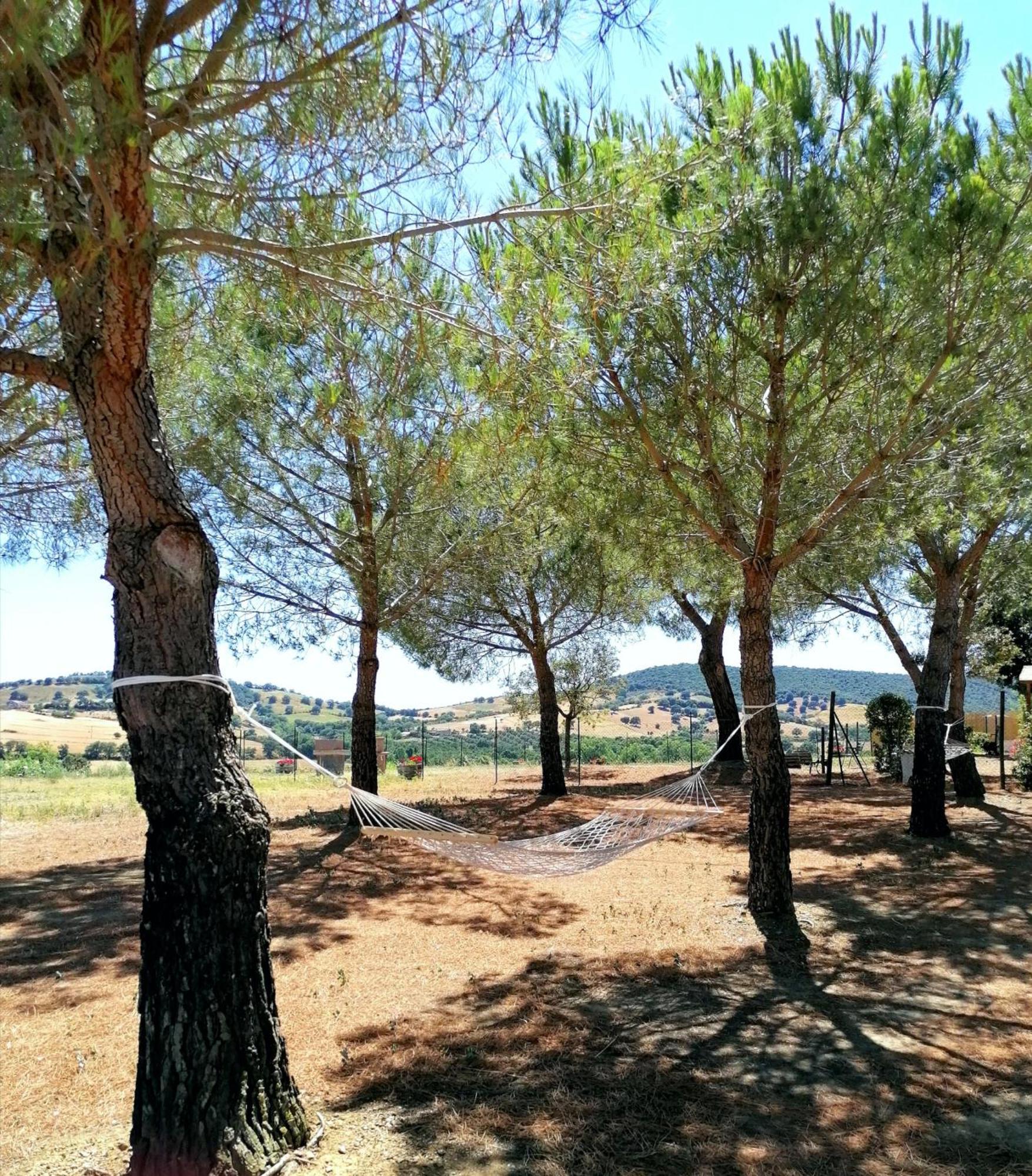 Agriturismo Boschetto Di Montiano Montiano  Habitación foto