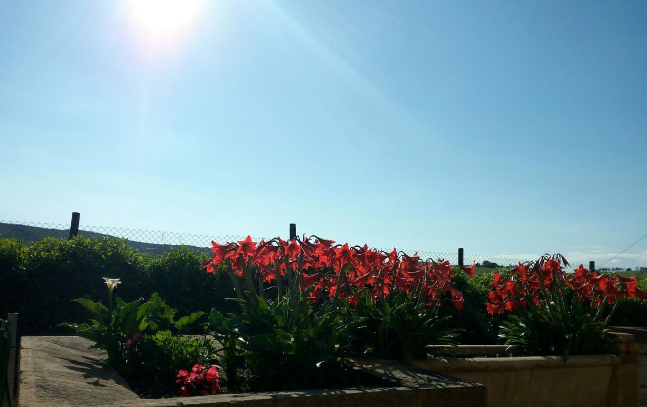 Agriturismo Boschetto Di Montiano Montiano  Exterior foto